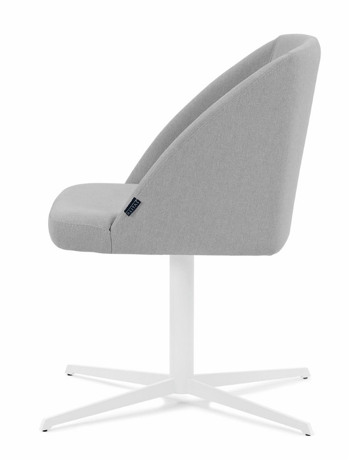 Polly - Image 3