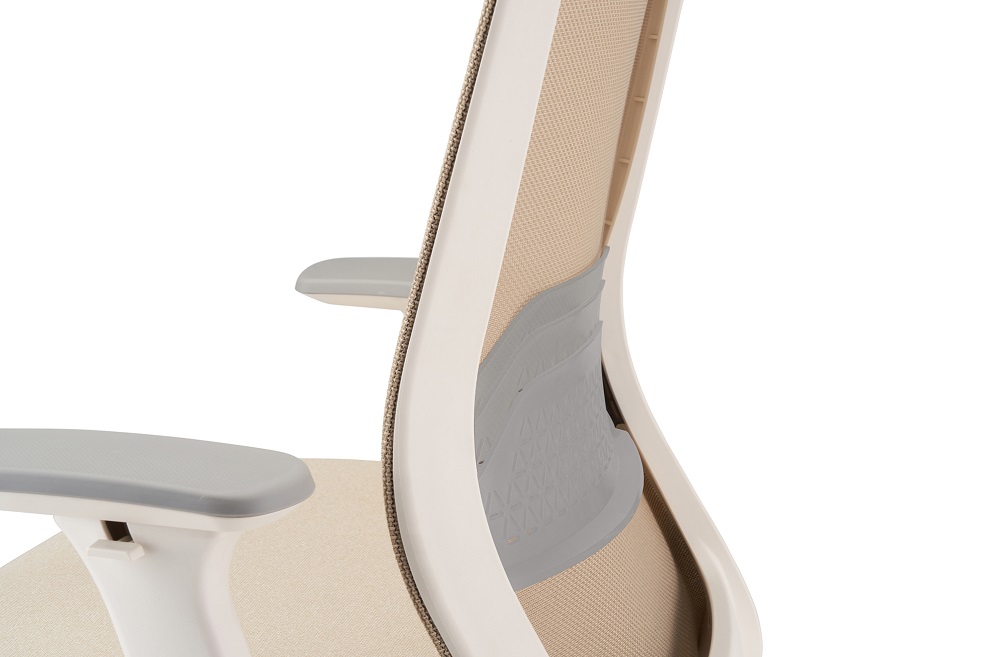 Stella - Image 13