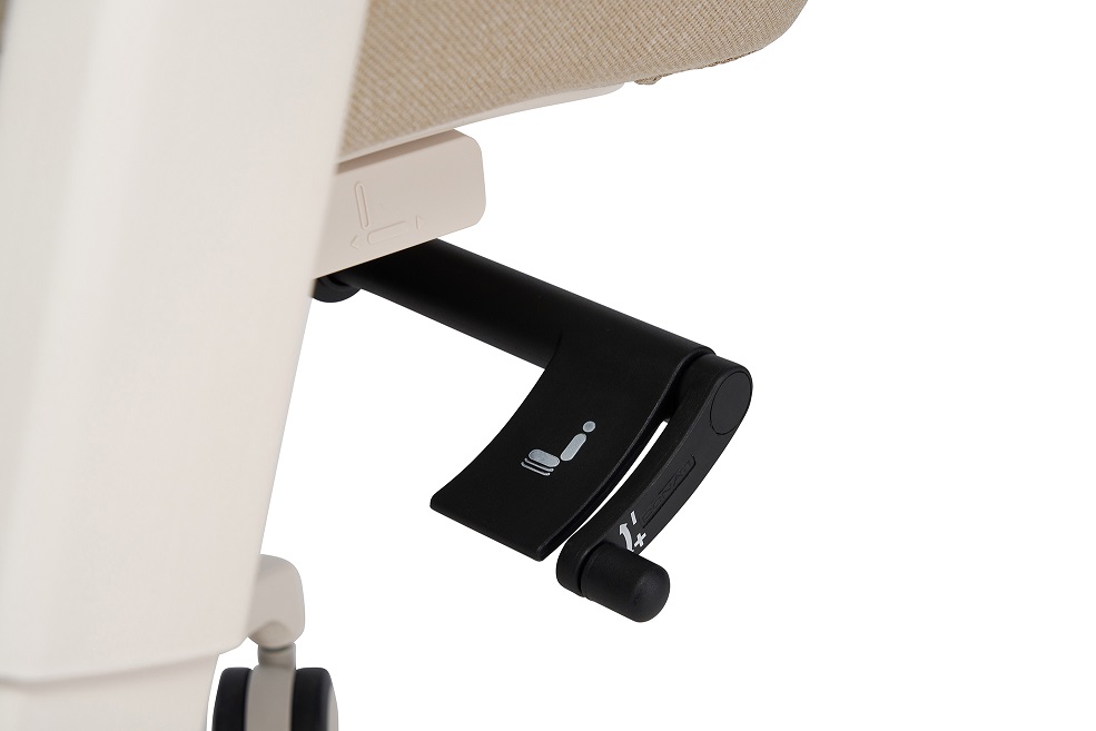 Stella - Image 15